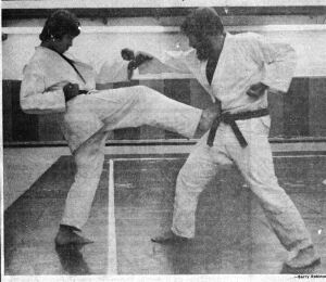 q_karate_02.jpg
